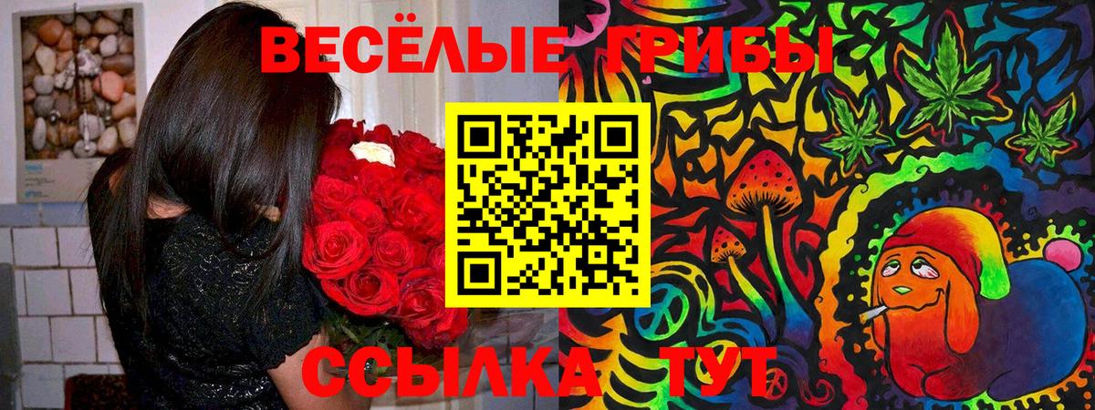 Псилоцибиновые грибы Выкса