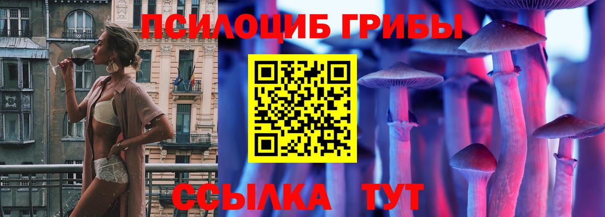 Выкса  Галлюциногенные грибы GOLDEN TEACHER  Вход с VPN  Галлюциногенные грибы Cubensis 